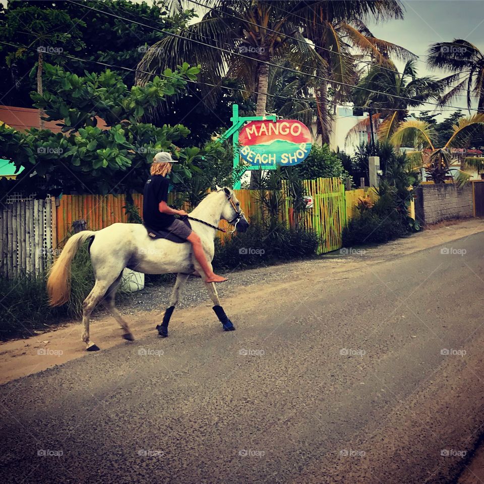 Horseback Riding