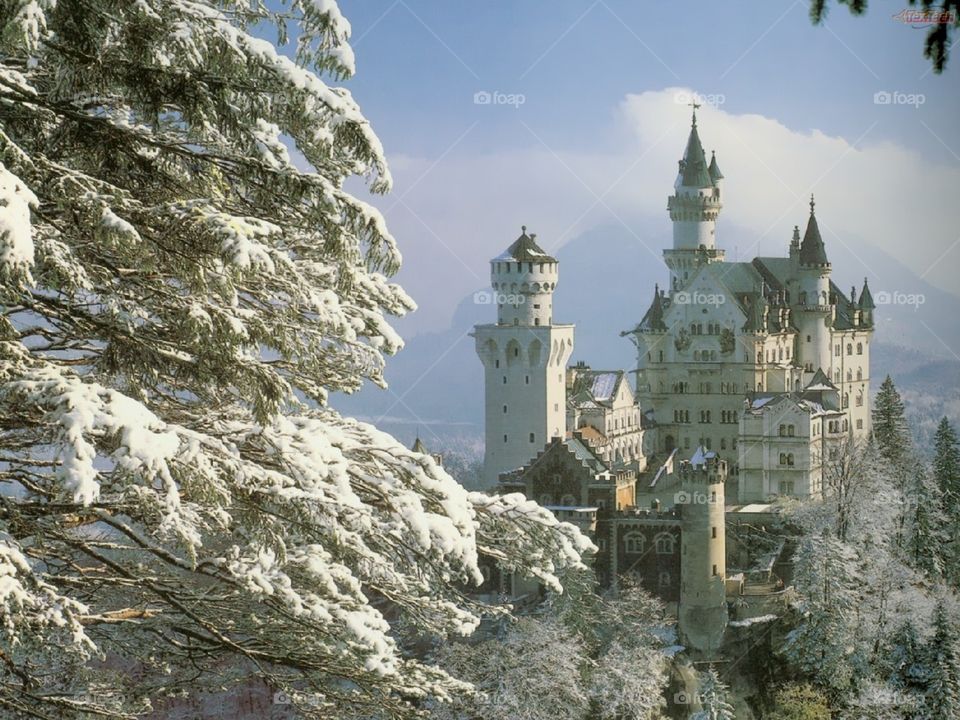 Beautiful Castle