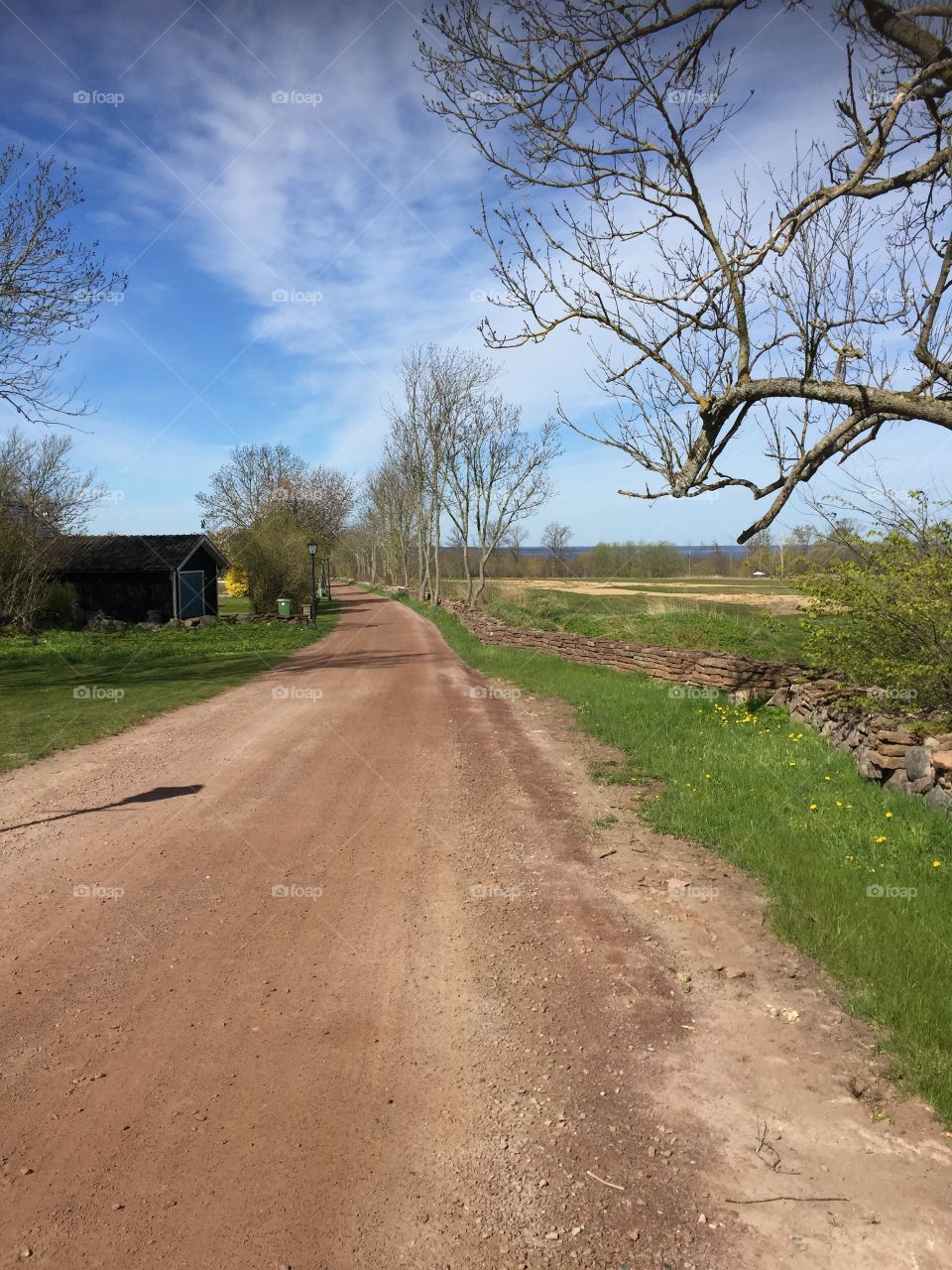 Catched at a walk today at Öland Sweden 