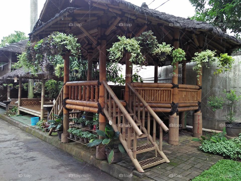 Editor's of the week