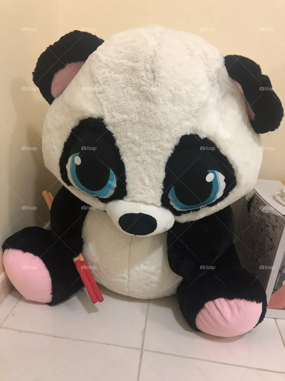 Teddy bear
