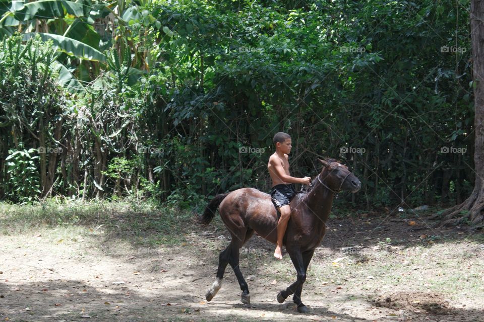 Young Boy One Horse