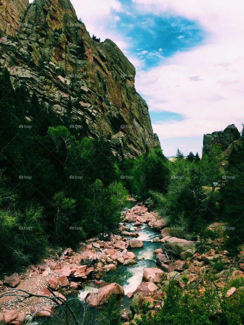 Stream flowing through rock