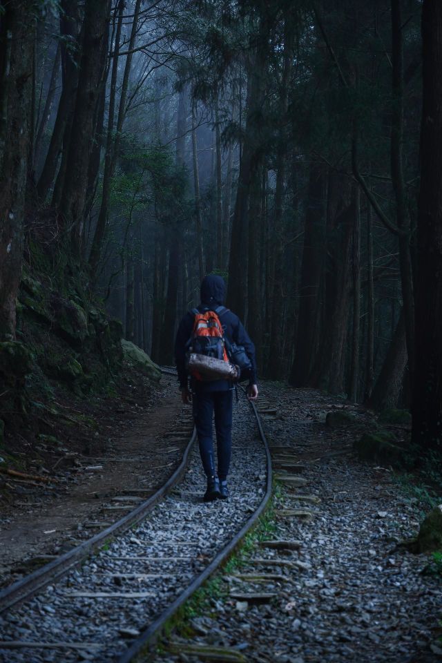 follow