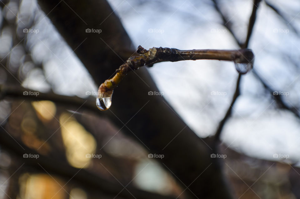 Raindrop Reflection 1