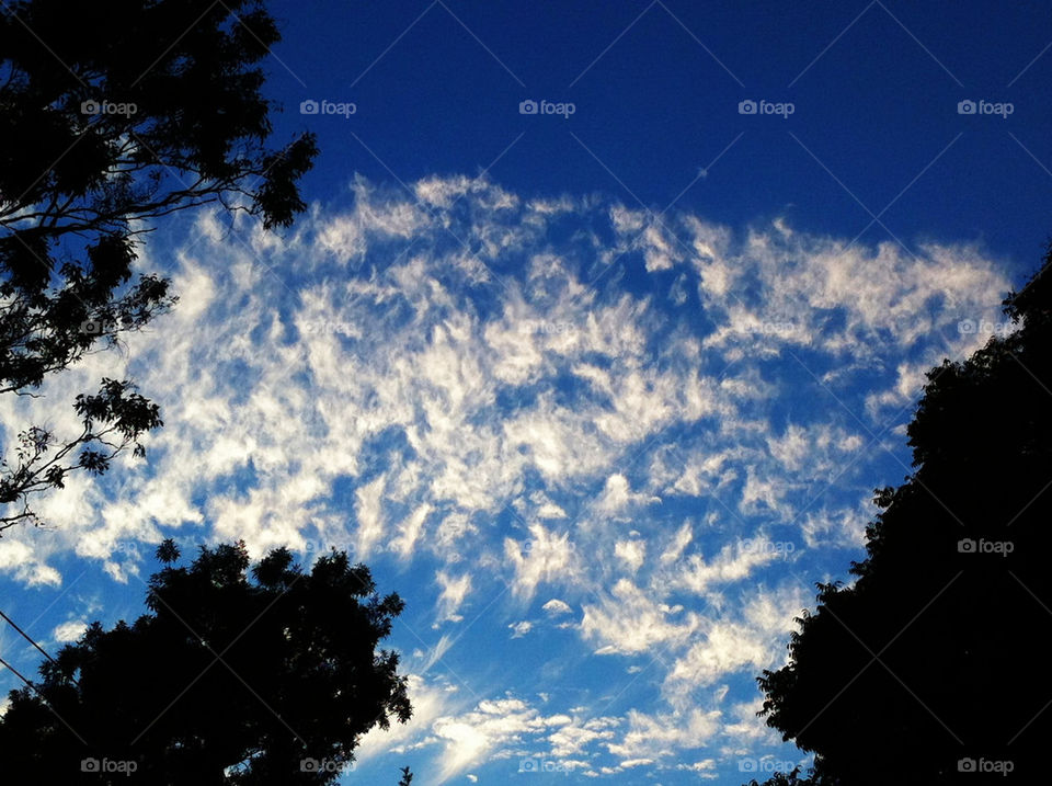 sky nature blue outdoors by king