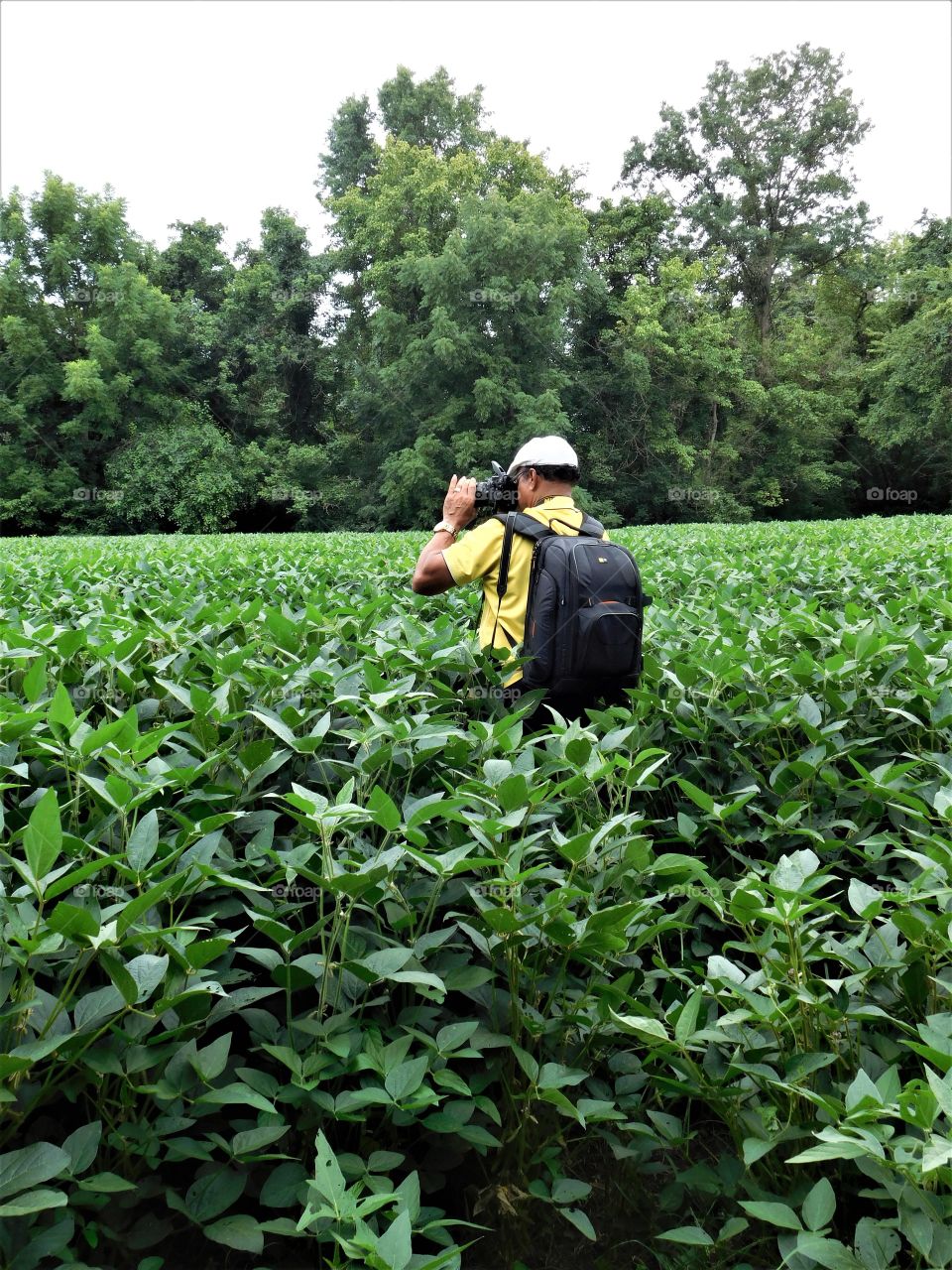 My point of view and how I see him