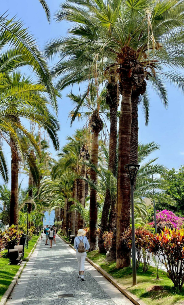 Puerto de la Cruz