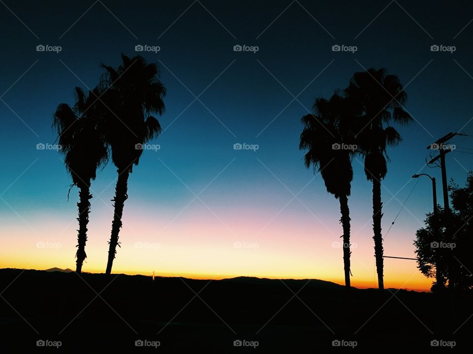 Sunset at Coachella 