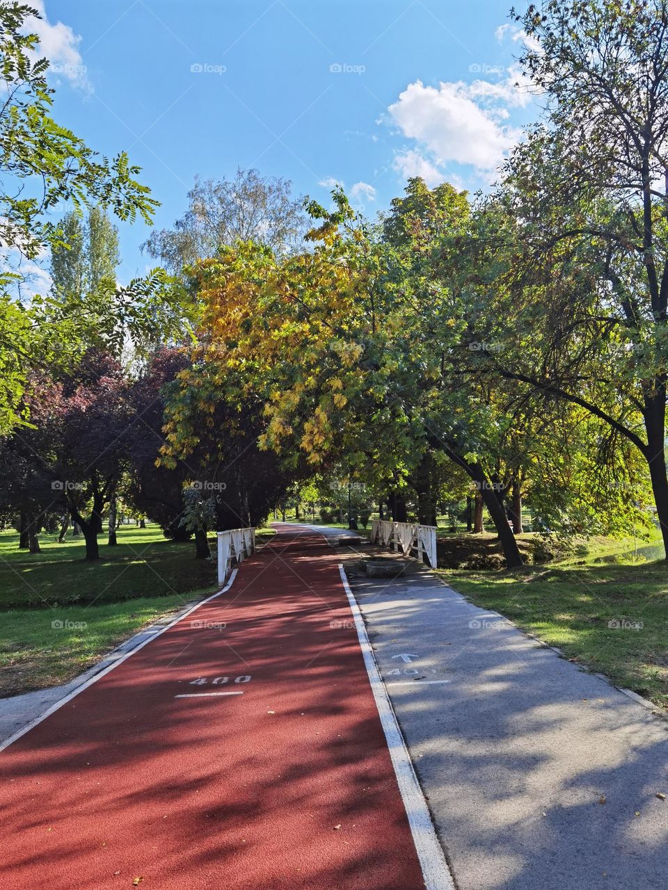 Jogging road in park
