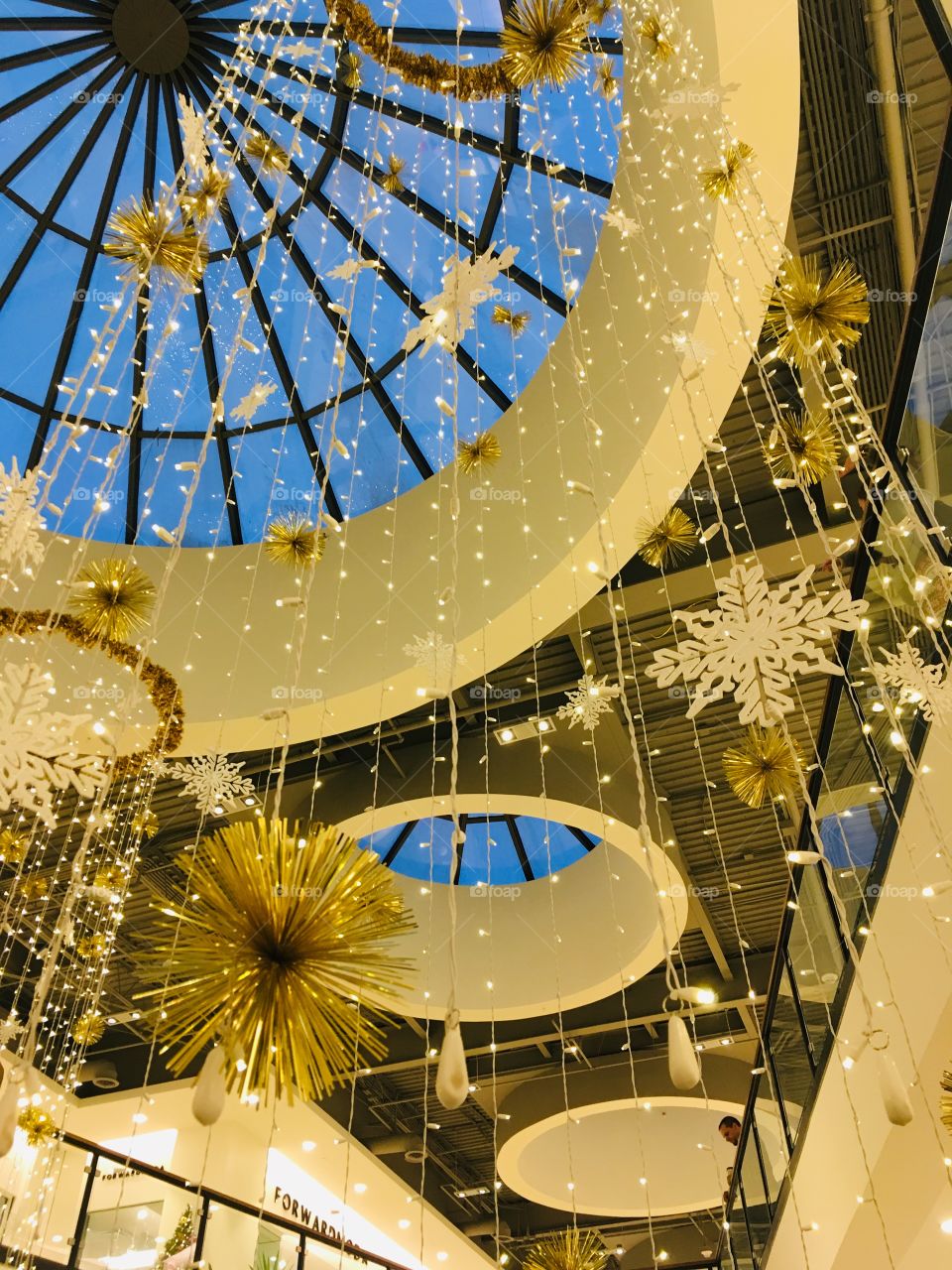 Skylight and snowflakes 