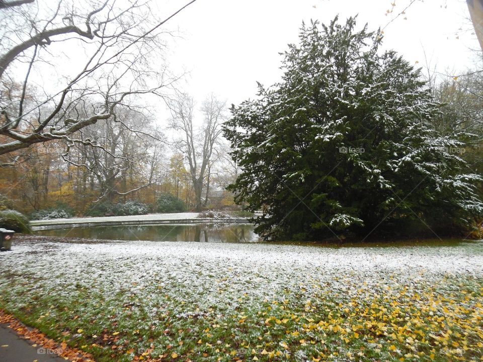 Parc de Mariemont, la Louvière