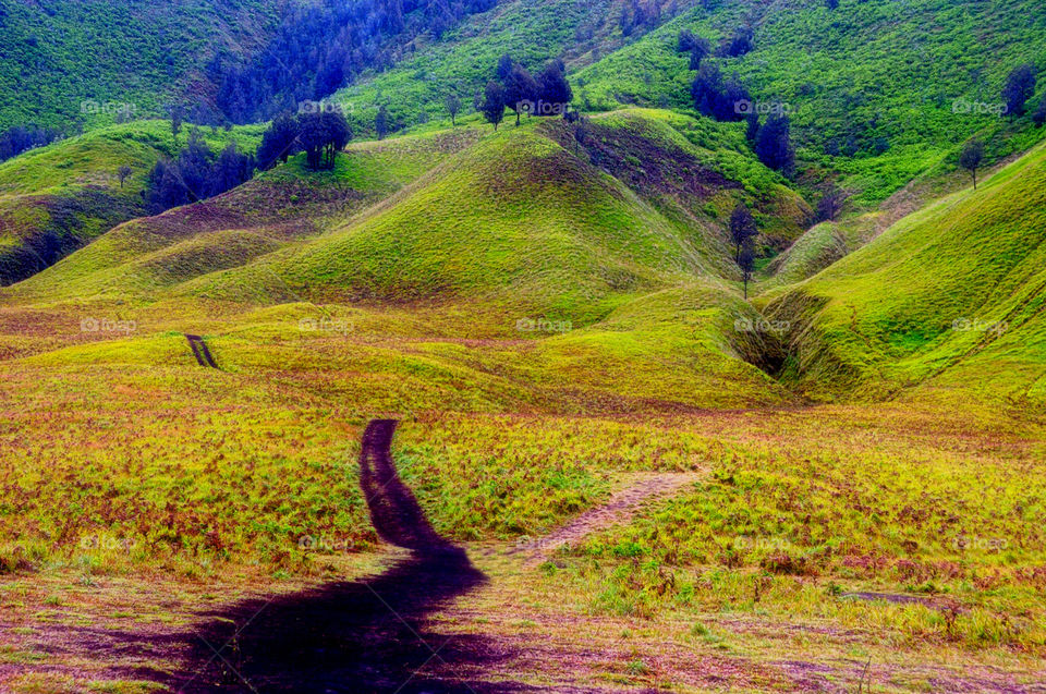 Savana hill at Bromo mountain