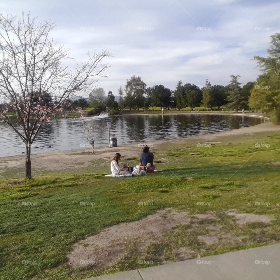 Family Picnic