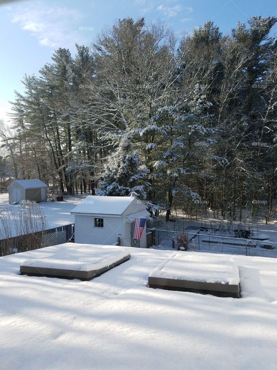 View after the last snowstorm.