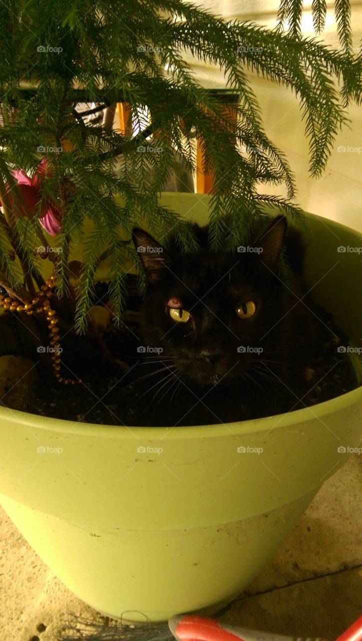 What  are you doing?