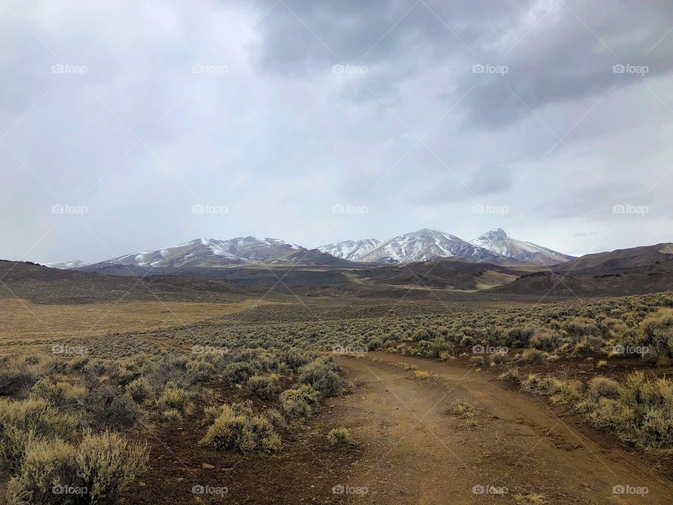 Hiking in Fields, Oregon