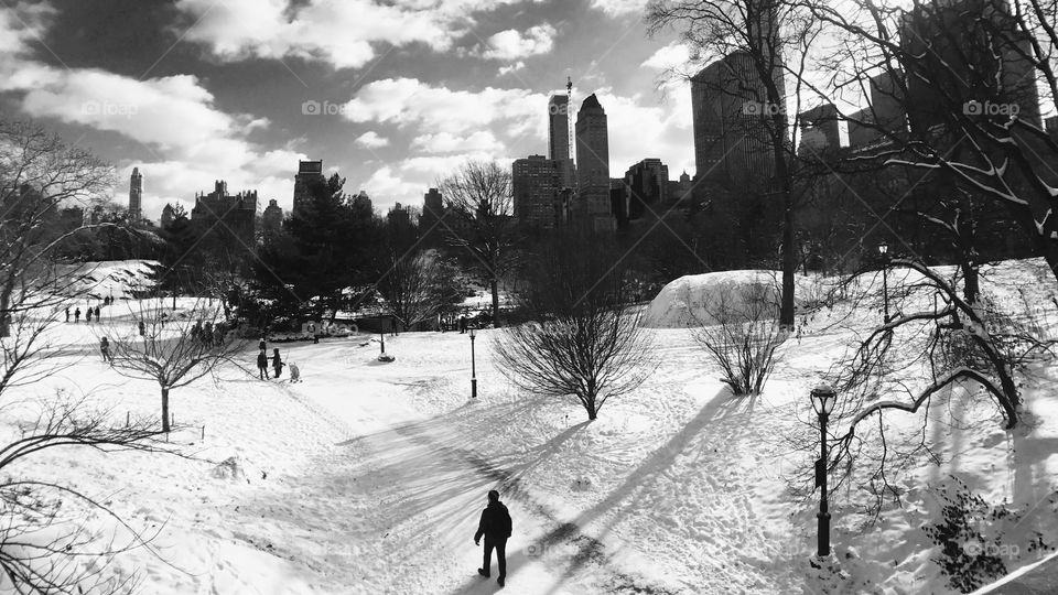Central Park Alone