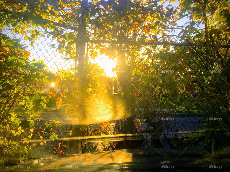 Make your light shine through 