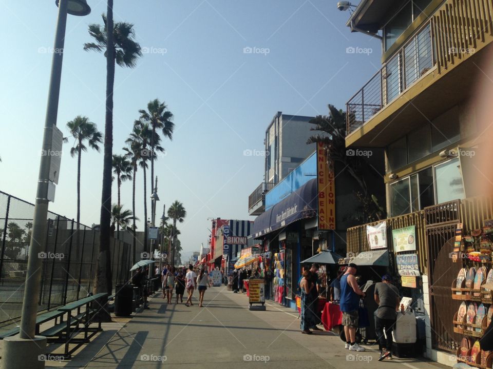 Venice beach 