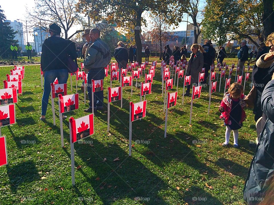 Remembrance day fallen soldiers