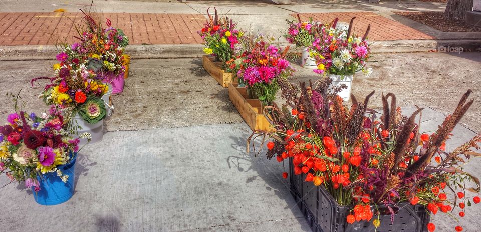 Autumn Flowers at Market