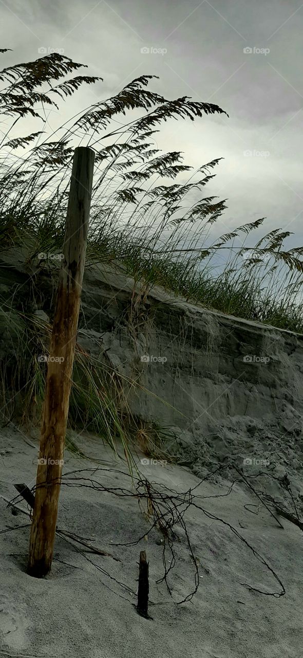 damaged sand fence trying to protect the dunes and sea oats