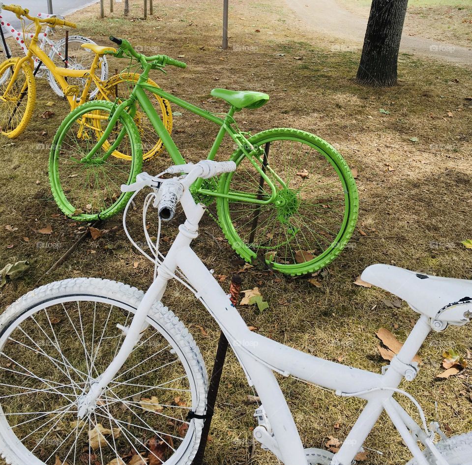 Colourful bicycles on the grass