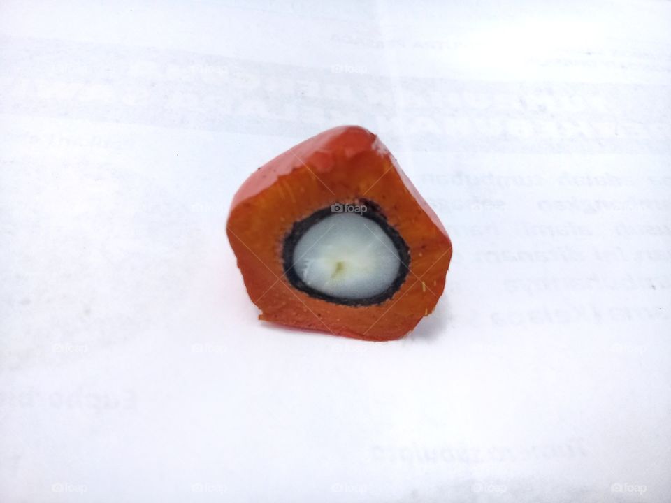 Oil palm seeds consists of palm kernel,shell and meat palm oil that has been cooked is processed into palm oil