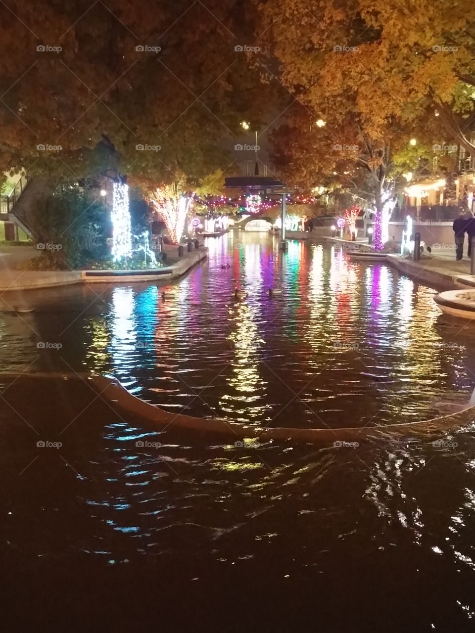 Christmas on the river