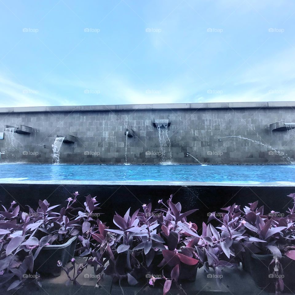 swimming pool with shower and rim decorated with purple plants