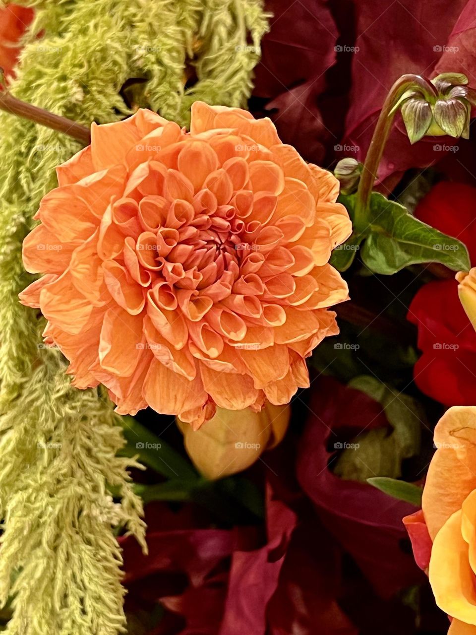 Close-up of a dahlia flower in a bouquet