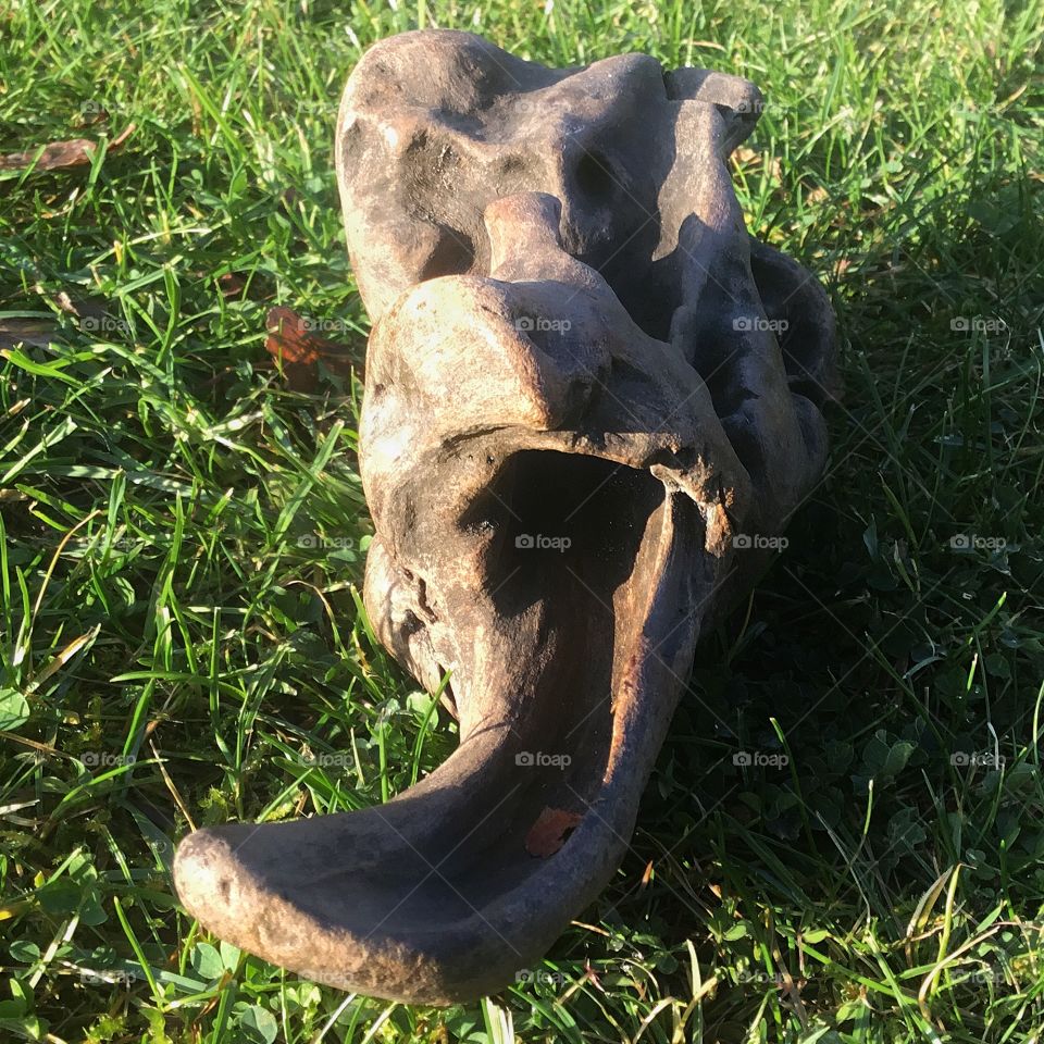 Joker stretching out his tongue,observing the game, and seemingly the only fella realizing *It is just a game*? Every bucket list ends with death,ain’t it?