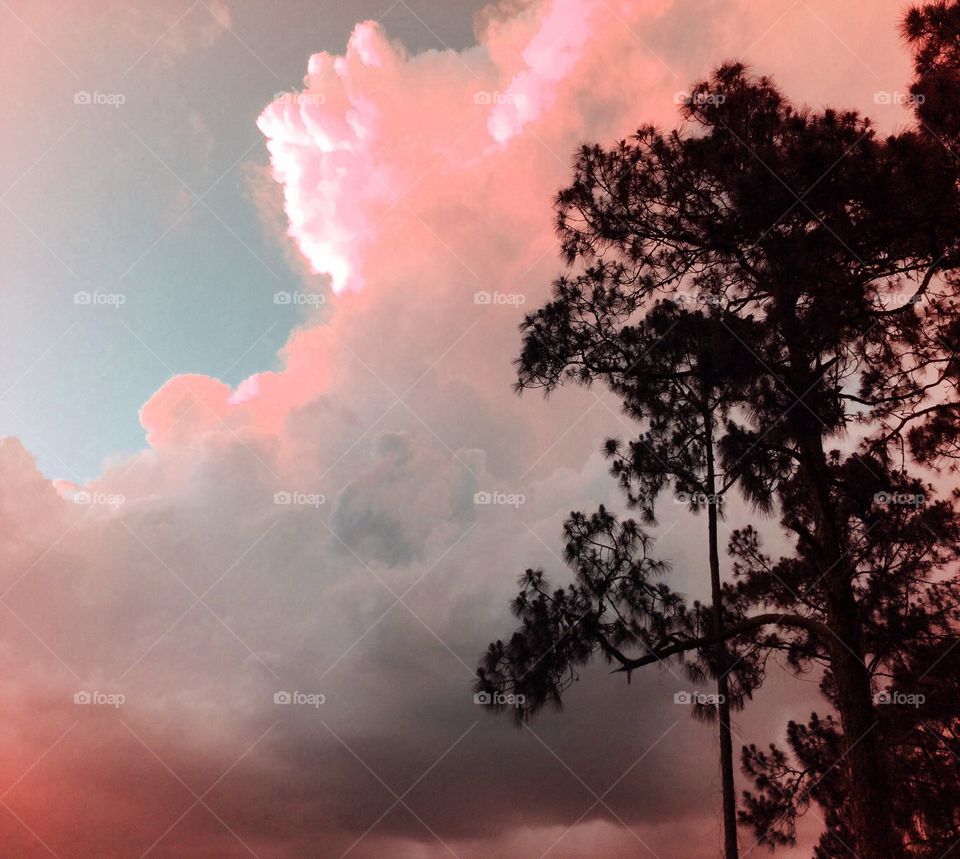 Pink and grey sunset. Pink and grey sunset