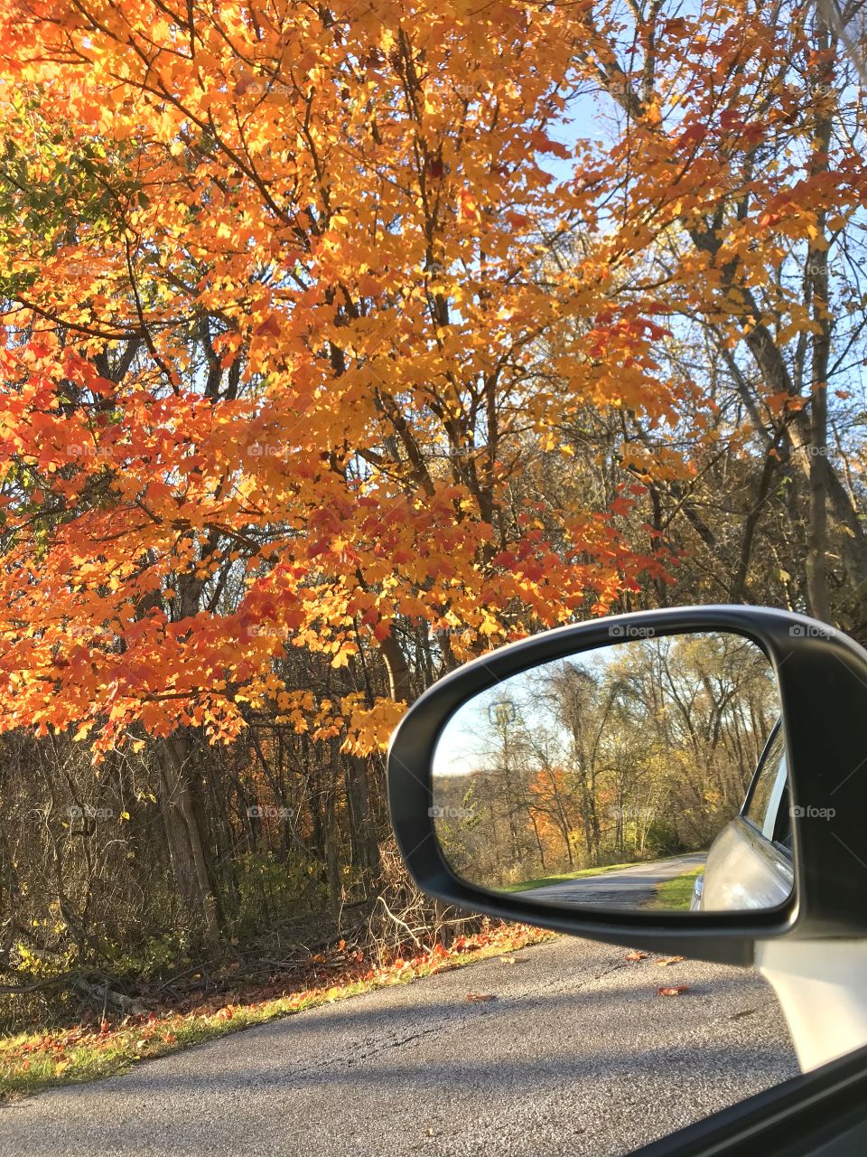 Orange leaves of autumn on a tree and also reflecting in the side view mirror of a car