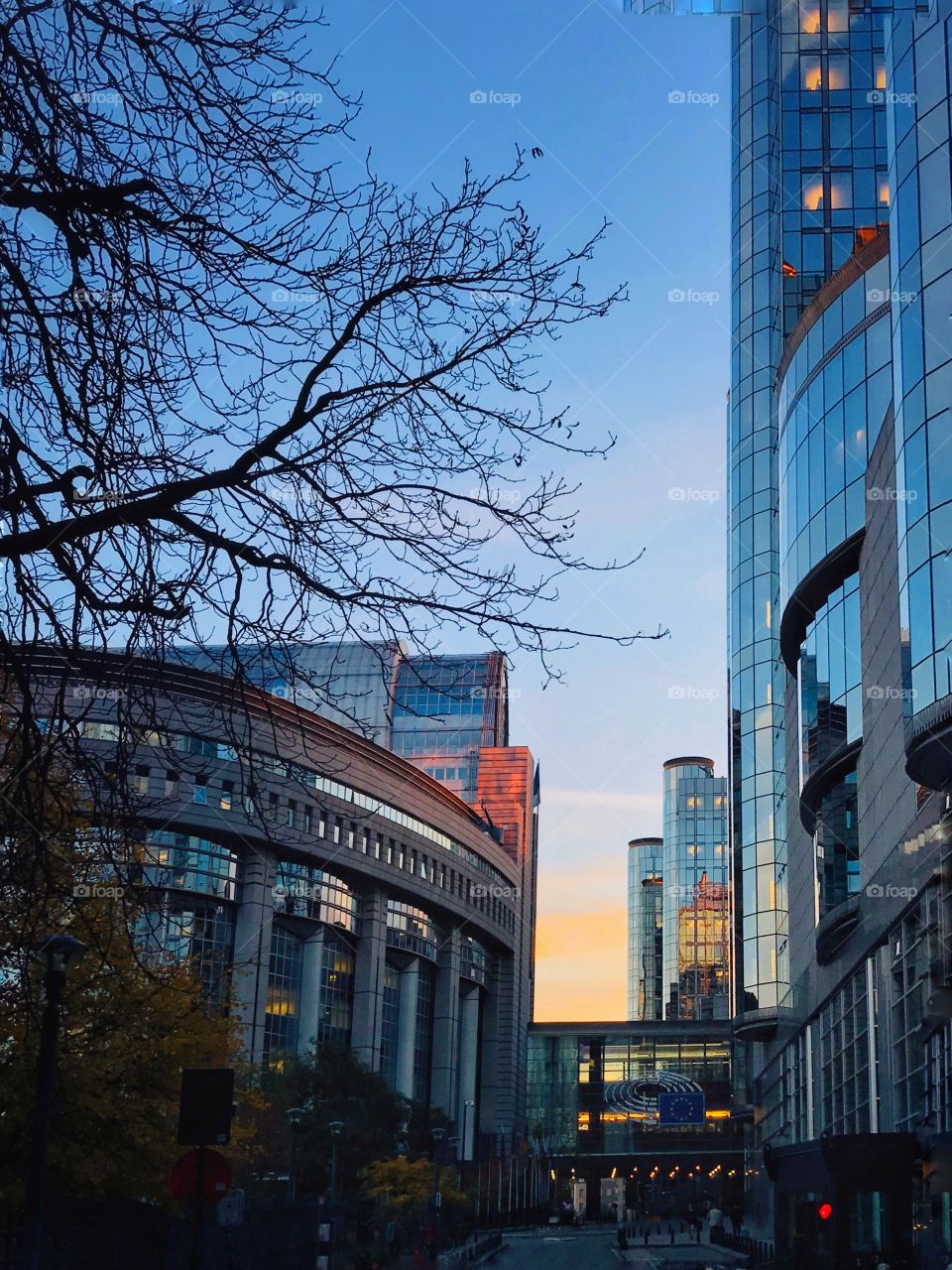 European Parliament 