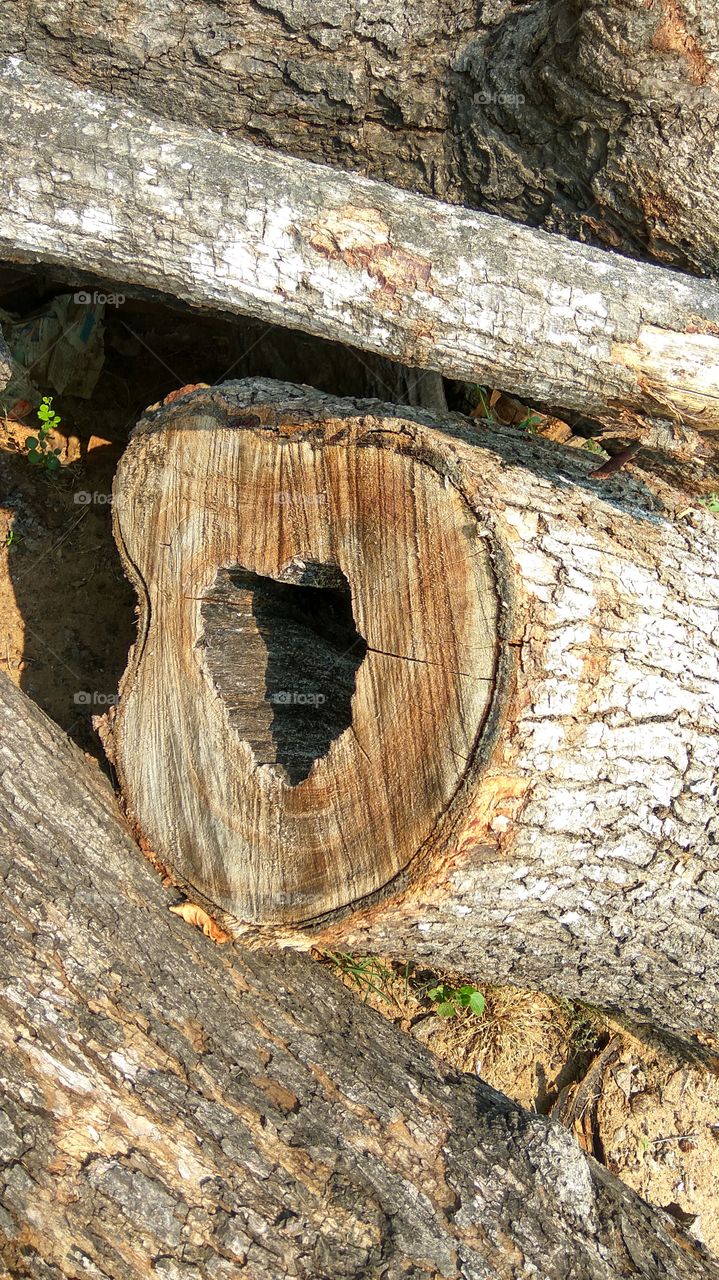 wood of love symble  it's natural created