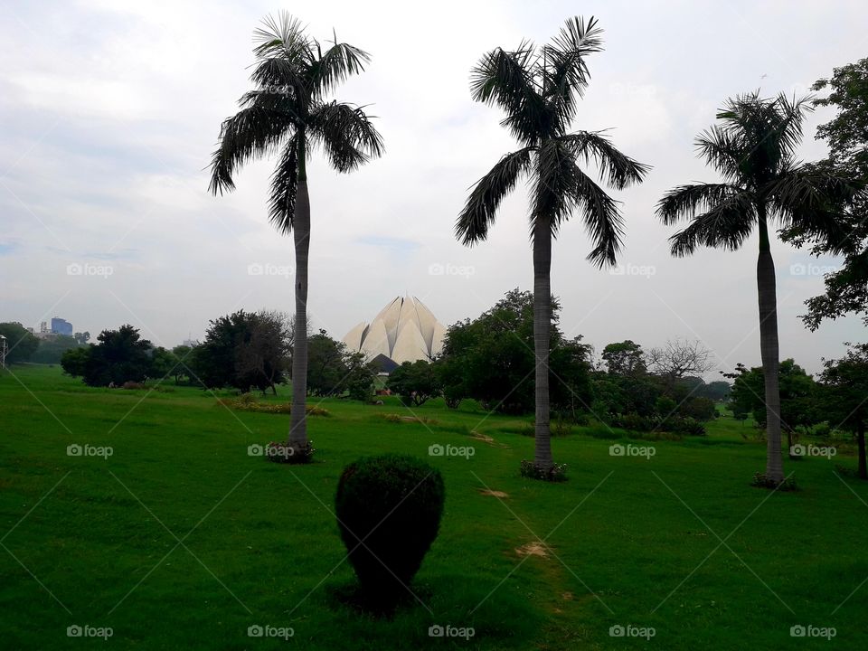 lotus temple
