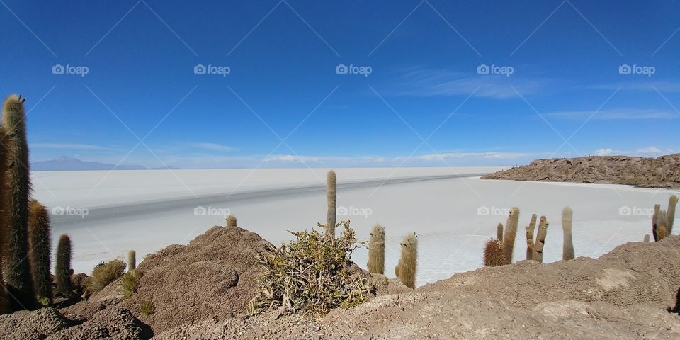 Island on Salar de Uyuni, Bolivia