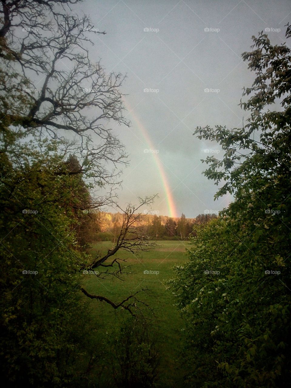 Rainbow. Peace on Earth.