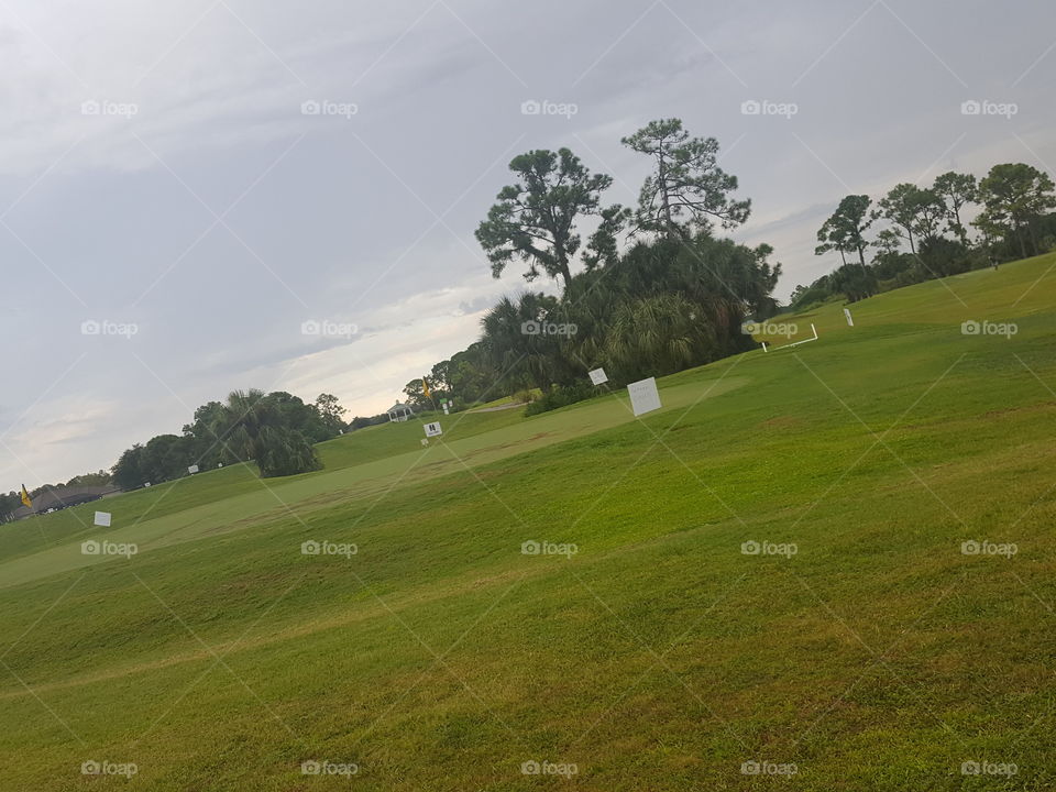 golf view.