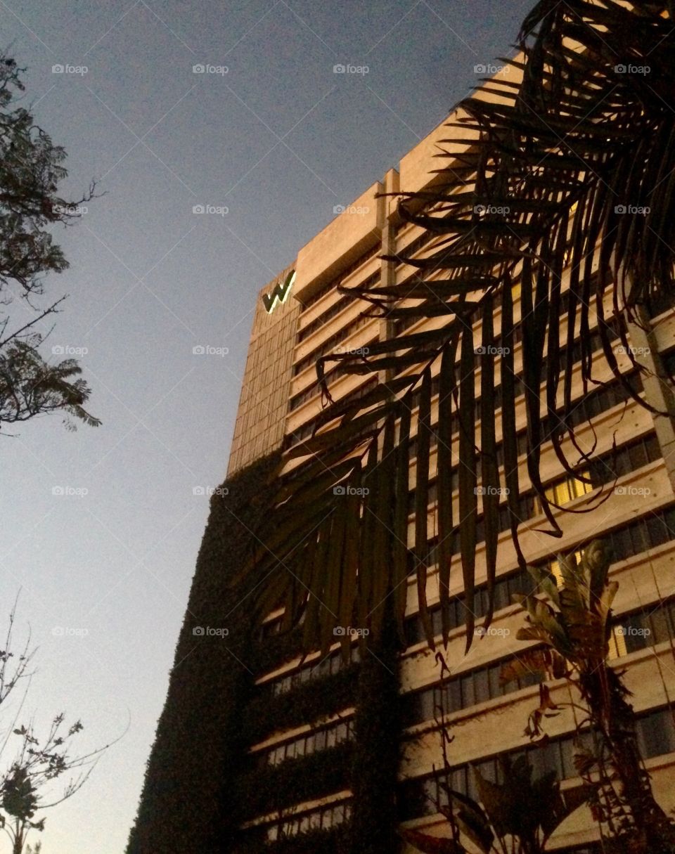 W Hotel, Westwood, West Beverly Hills, Los Angeles, California