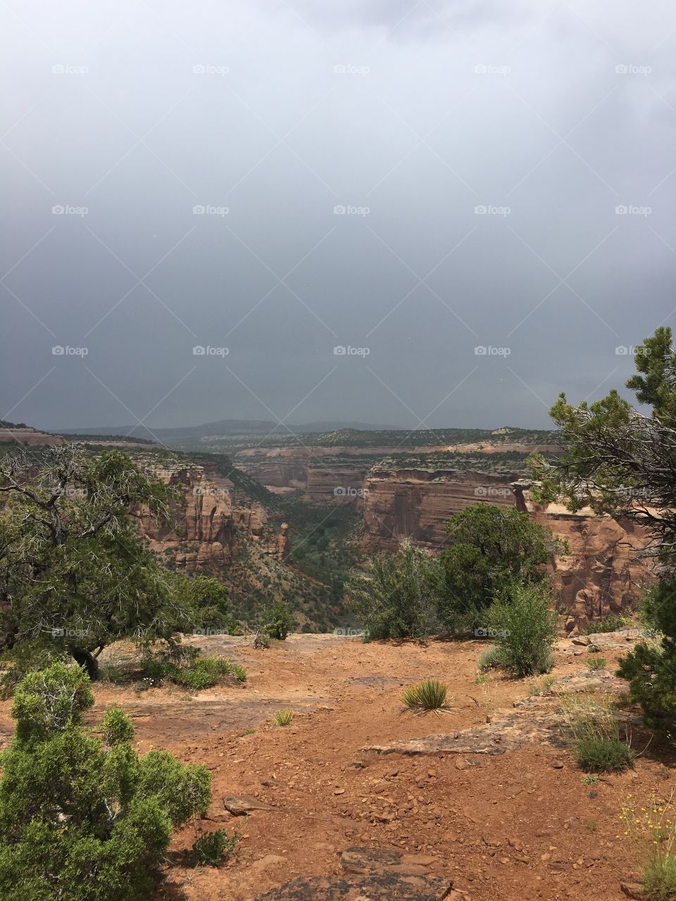 Views at the Colorado national monument
