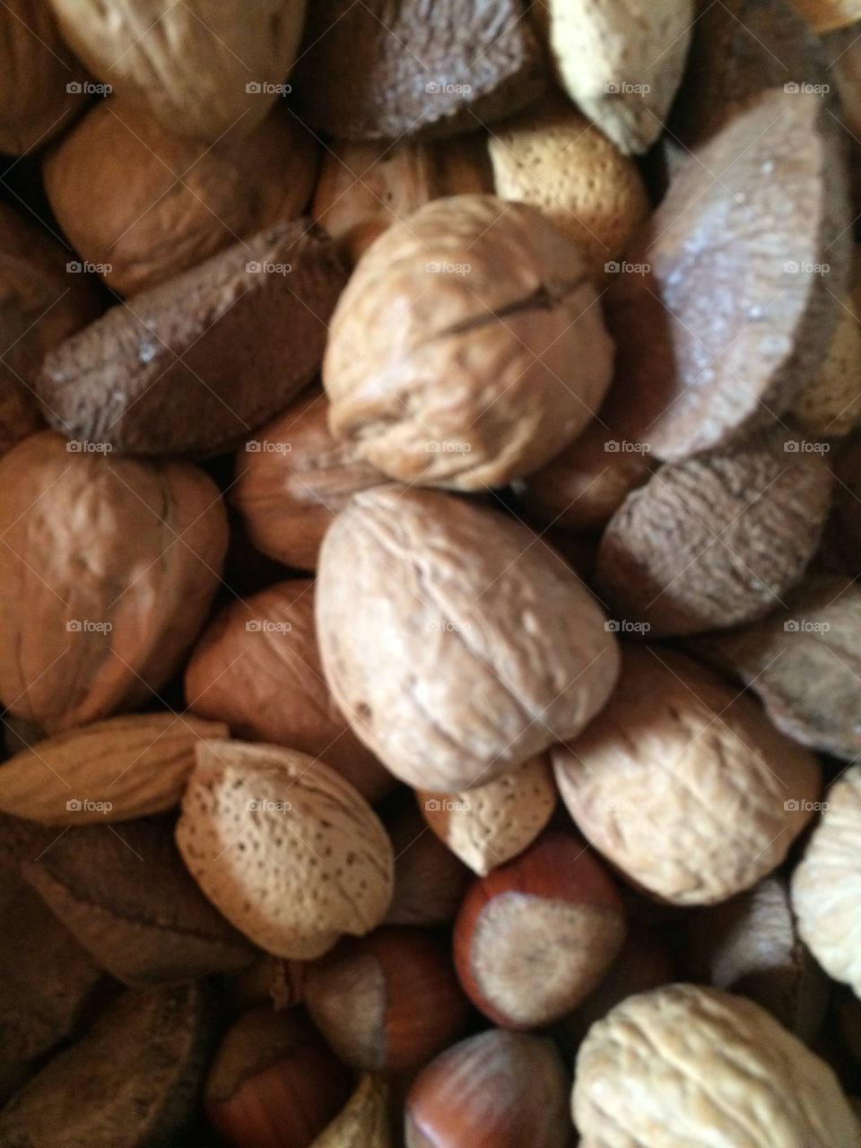 Mixed nuts. Mixed Muts
