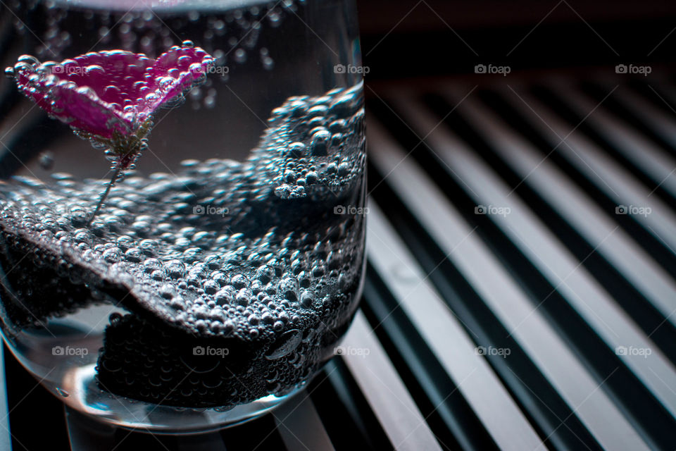 Pink flowers in mineral water