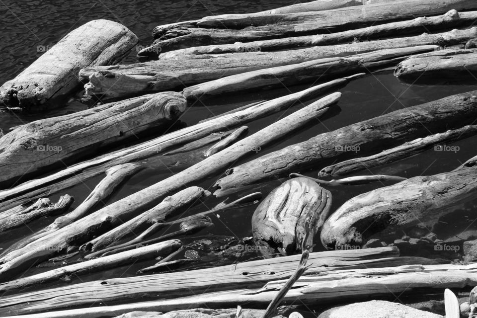Black and White, logs on the water, Hetch Hetchy 2