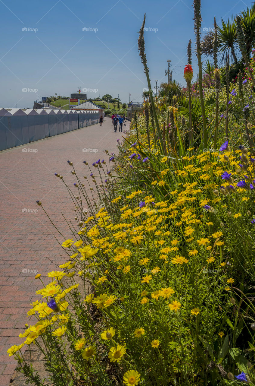 Eastbourne. Seaside resort