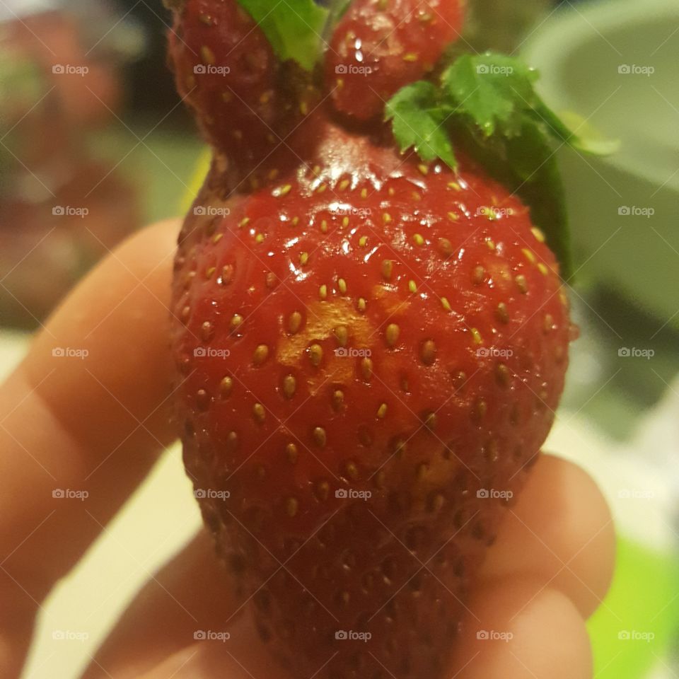 Fifty  shapes of strawberry