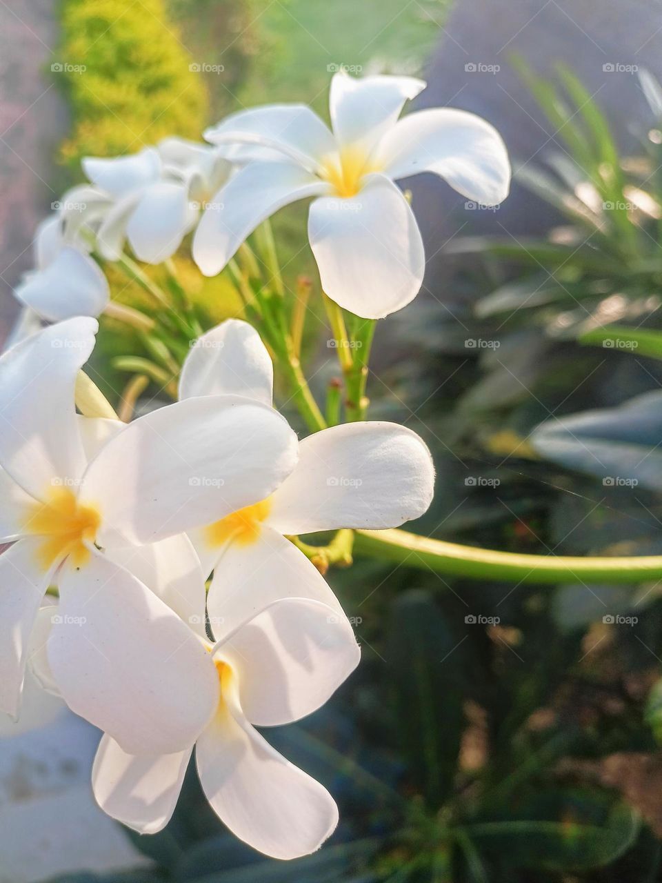 Upload the photo of the month November