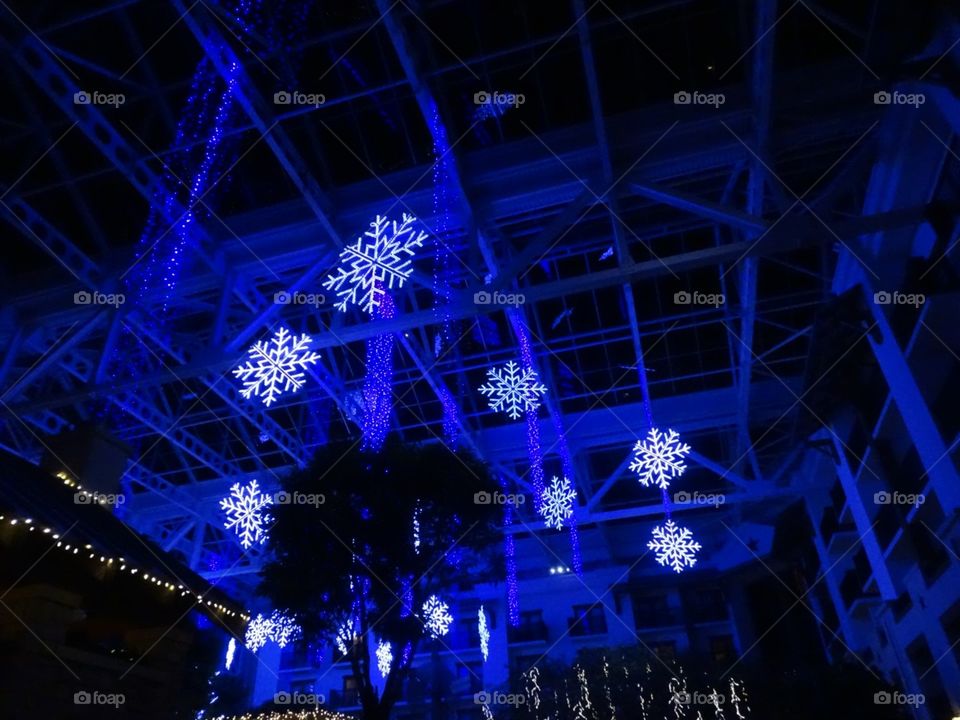 Light, Abstract, Christmas, Technology, Festival